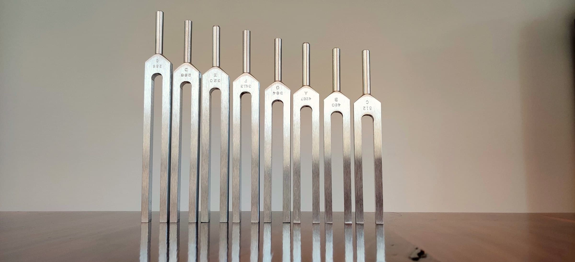 A row of brushed steel tuning forks, each stamped with its frequency
